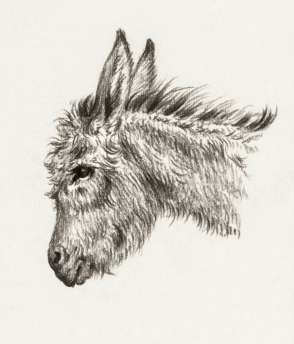 Head of a donkey (1818) by Jean Bernard (1775-1883). Original from The Rijksmuseum. Digitally enhanced by rawpixel.