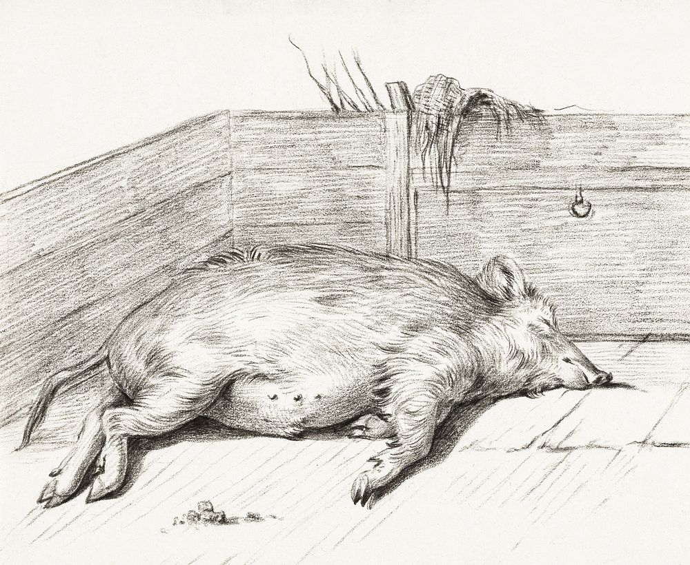 Lying pig, in the corner of a loft (1812) by Jean Bernard (1775-1883). Original from The Rijksmuseum. Digitally enhanced by…