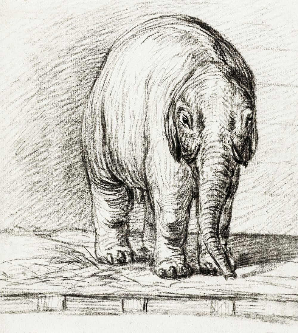 Standing elephant (1800) by Jean Bernard (1775-1883). Original from The Rijksmuseum. Digitally enhanced by rawpixel.