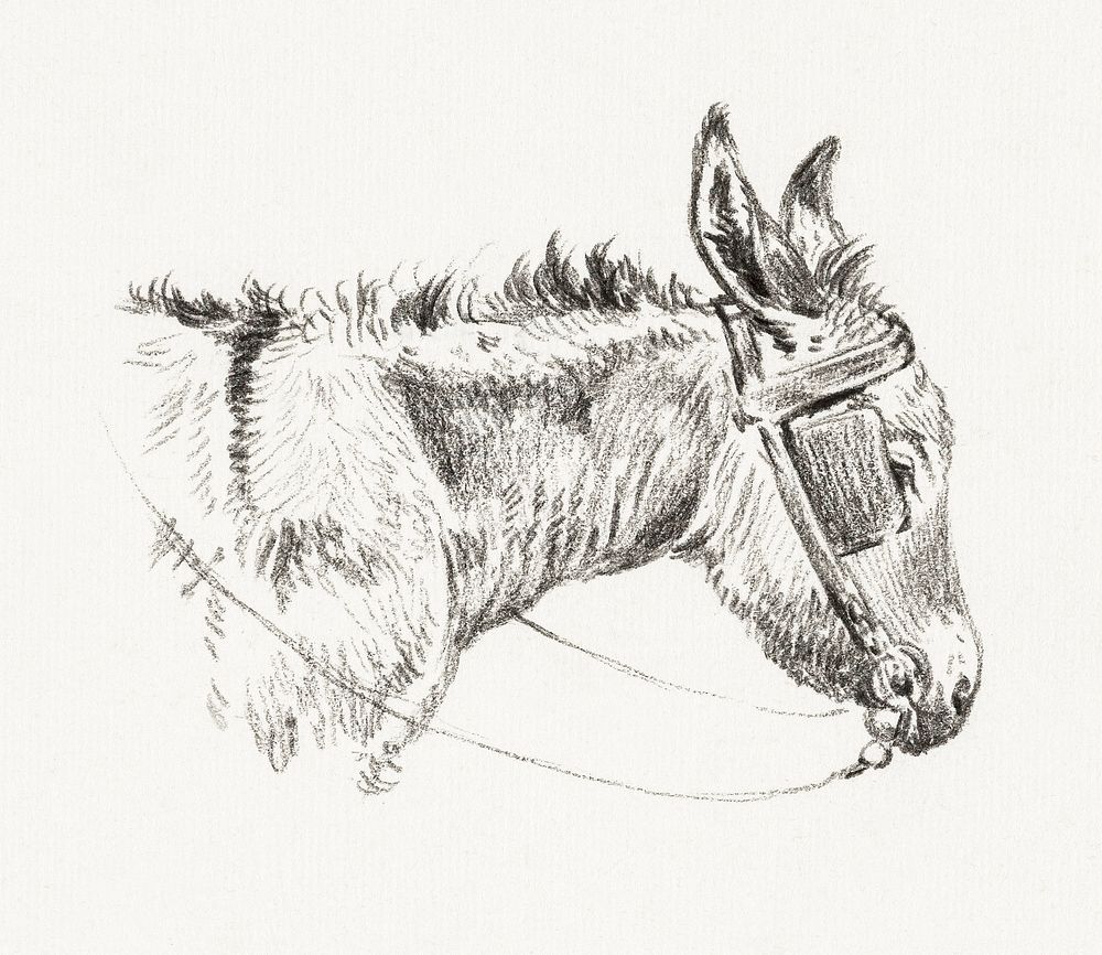 Head of a donkey (1821) by Jean Bernard (1775-1883). Original from The Rijksmuseum. Digitally enhanced by rawpixel.