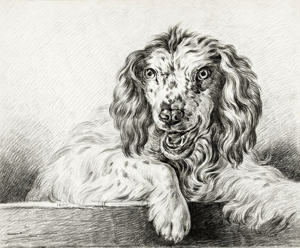 Dog (1802) by Jean Bernard (1775-1883). Original from The Rijksmuseum. Digitally enhanced by rawpixel.