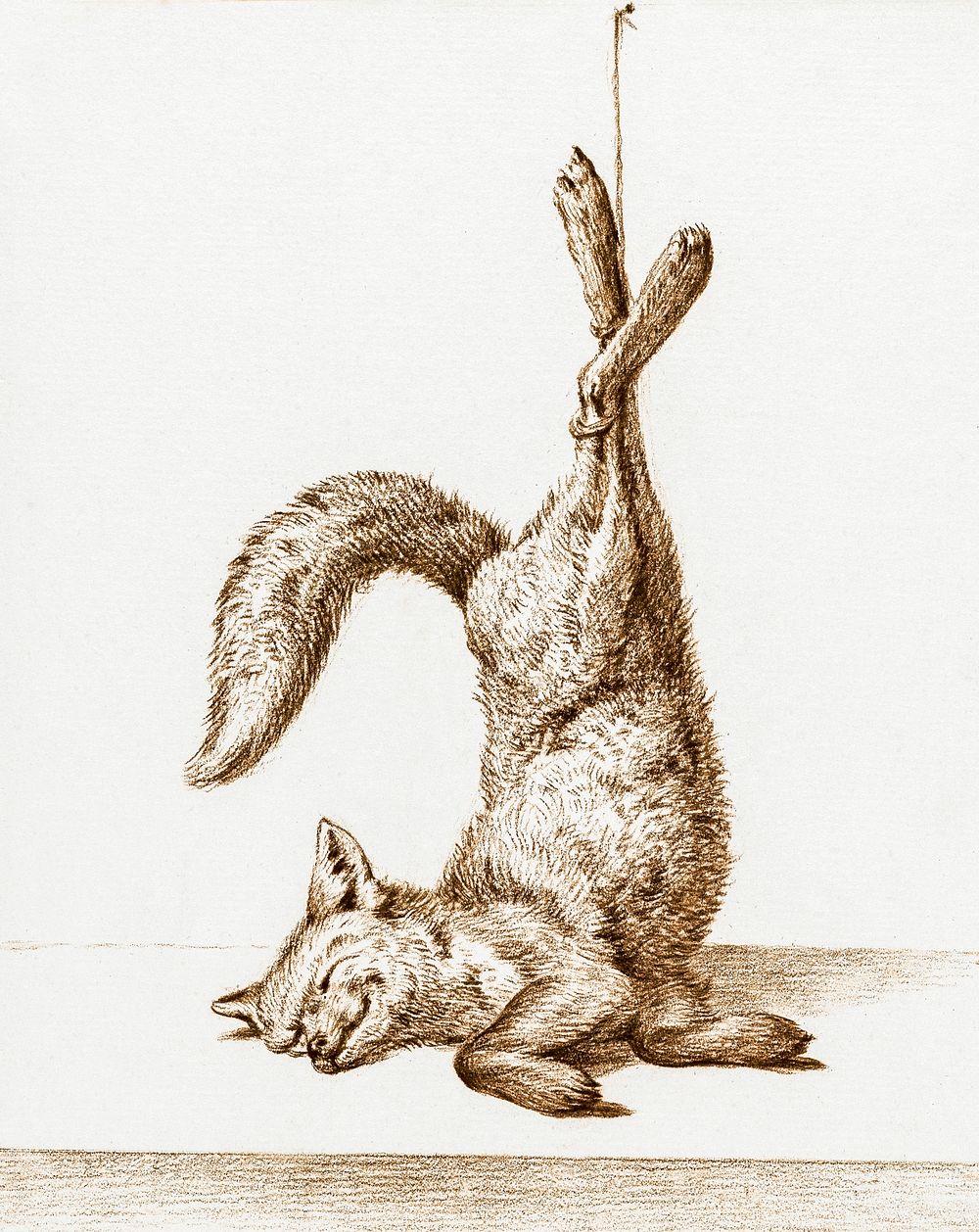 Dead fox, hanging from his paws (1815) by Jean Bernard (1775-1883). Original from The Rijksmuseum. Digitally enhanced by…