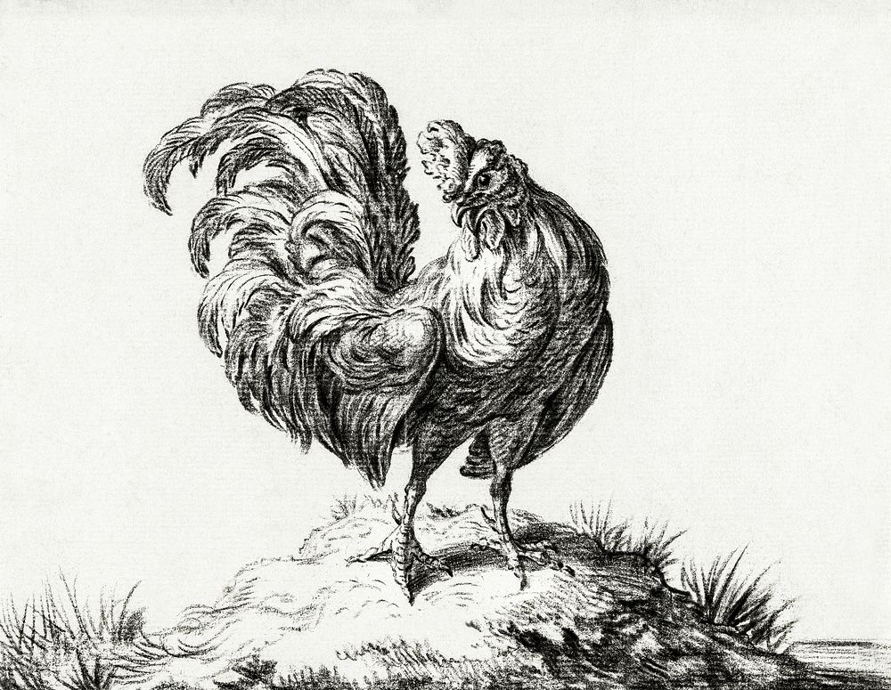 Chicken, standing on a hill by Jean Bernard (1775-1883). Original from The Rijksmuseum. Digitally enhanced by rawpixel.