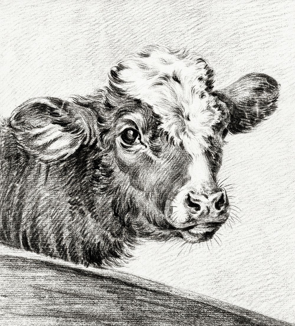 Head of a cow by Jean Bernard (1775-1883). Original from The Rijksmuseum. Digitally enhanced by rawpixel.