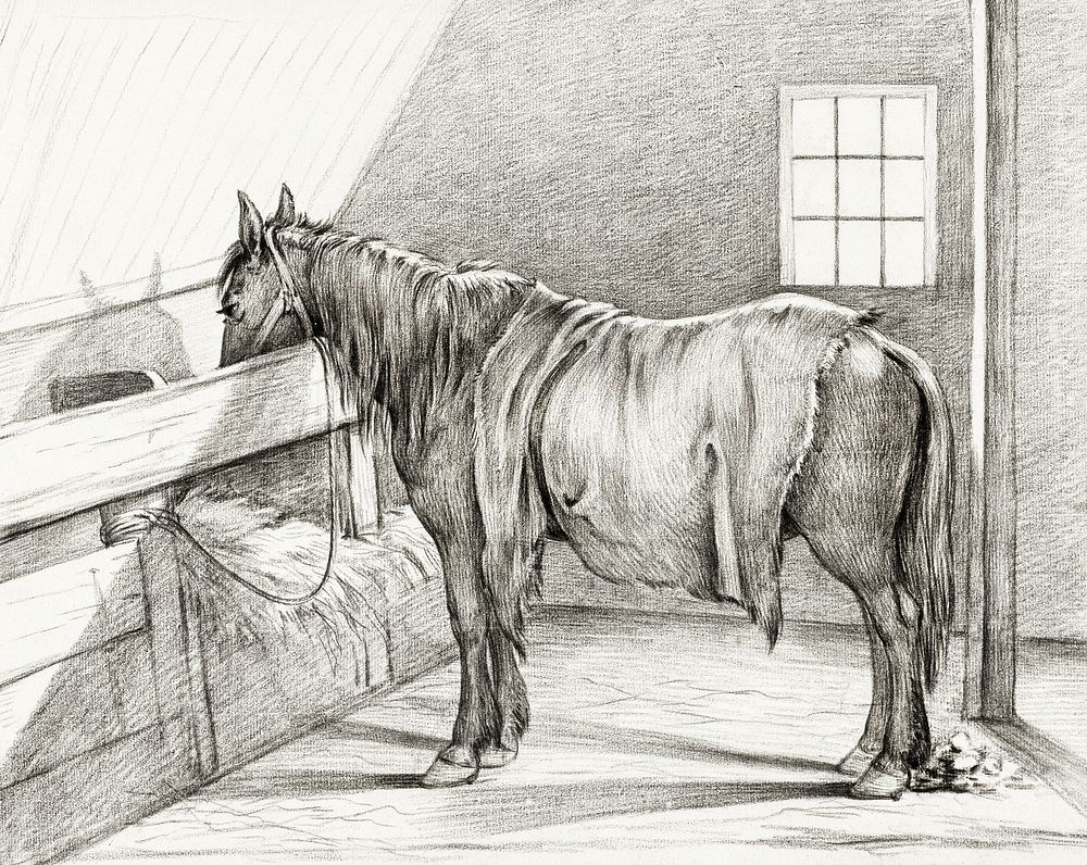 Standing horse in a stable (1812) by Jean Bernard (1775-1883). Original from the Rijks Museum. Digitally enhanced by…