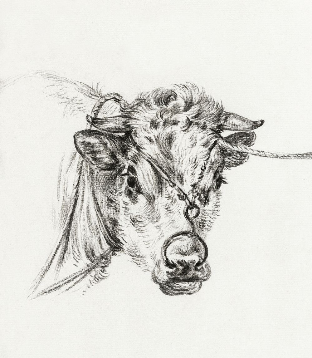 Head of a cow, with a ring through the nose (1820) by Jean Bernard (1775-1883). Original from the Rijks Museum. Digitally…