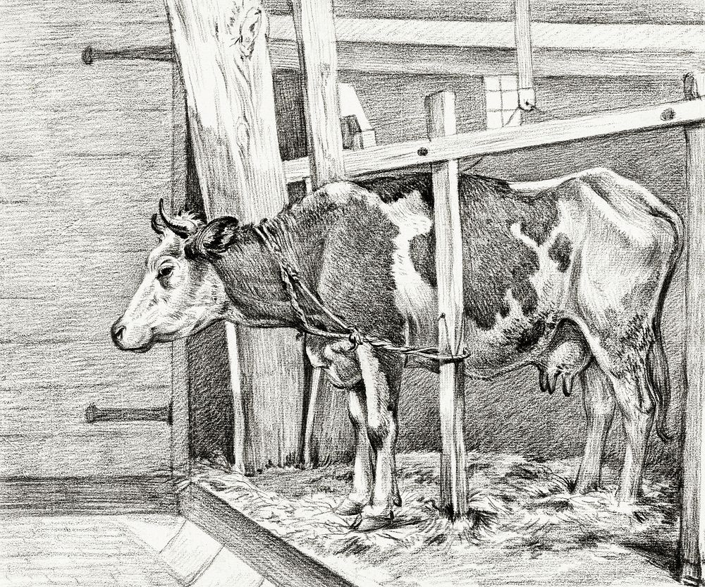 Standing cow (1812) by Jean Bernard (1775-1883). Original from the Rijks Museum. Digitally enhanced by rawpixel.