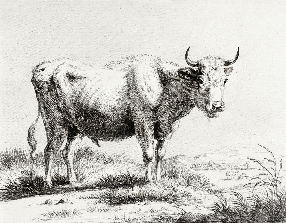 Standing cow by Jean Bernard (1775-1883). Original from the Rijks Museum. Digitally enhanced by rawpixel.