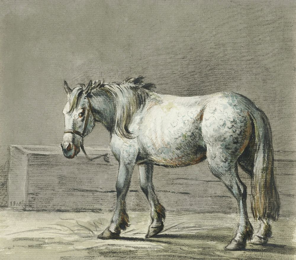 Standing horse (1810 - 1816) by Jean Bernard (1775-1883). Original from the Rijks Museum. Digitally enhanced by rawpixel.