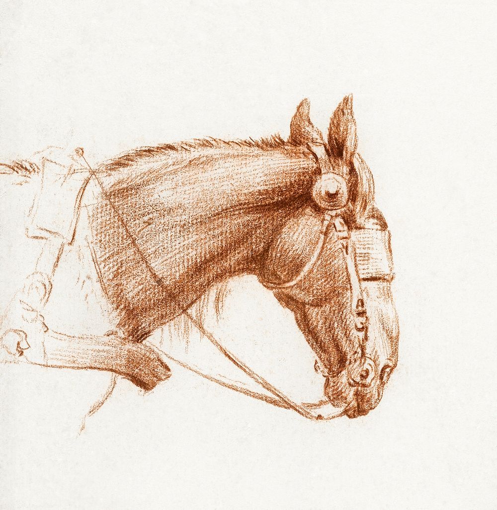 Head of a horse with blinkers by Jean Bernard (1775-1883). Original from the Rijks Museum. Digitally enhanced by rawpixel.