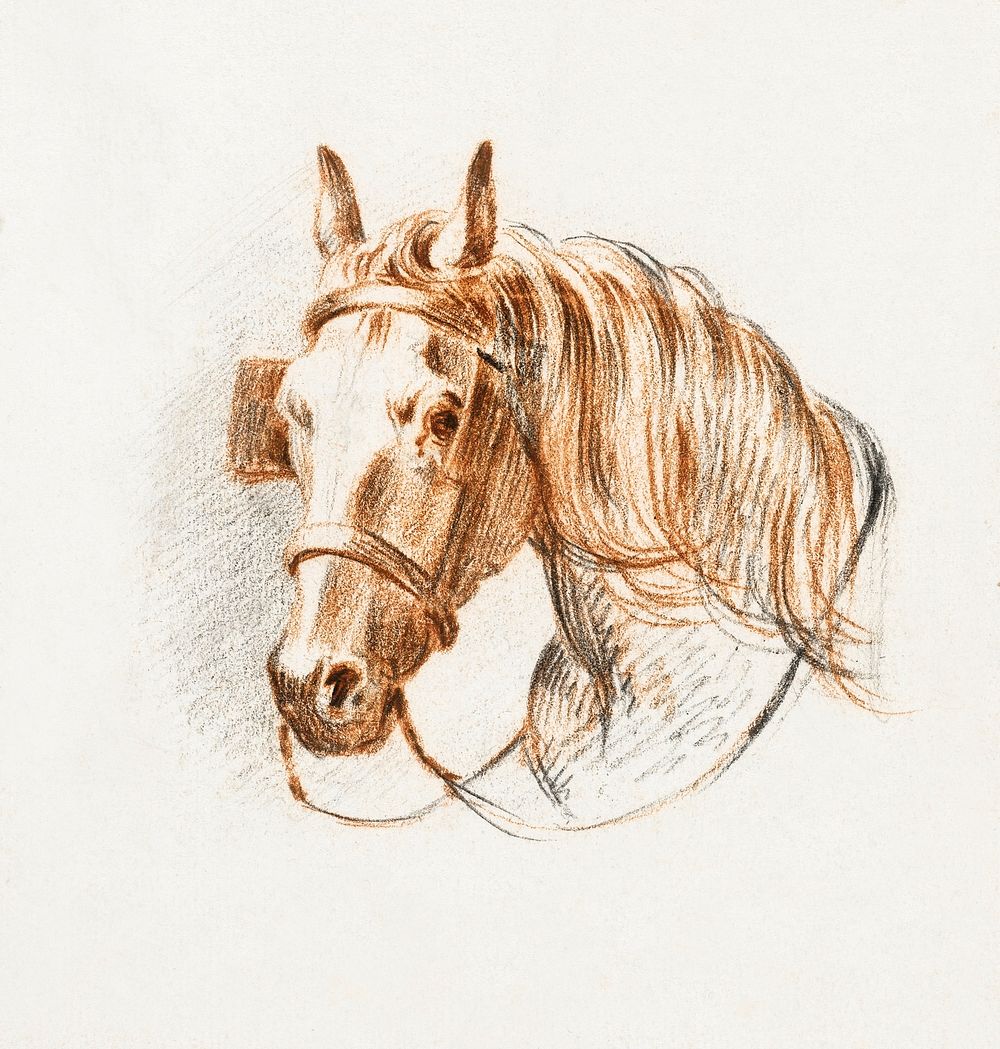 Head of a horse with blinkers by Jean Bernard (1775-1883). Original from the Rijks Museum. Digitally enhanced by rawpixel.