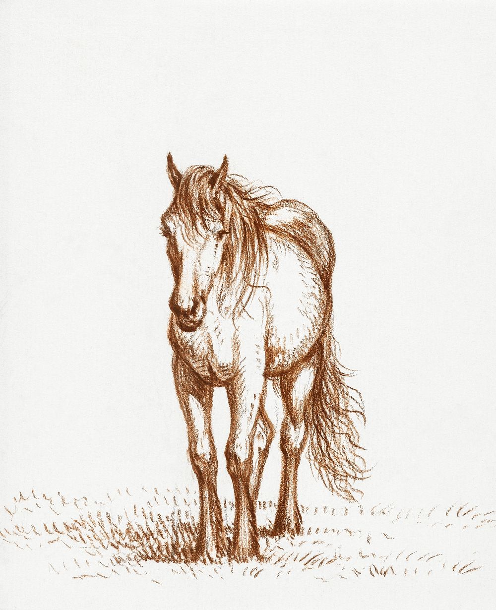 Standing horse (1816) by Jean Bernard (1775-1883). Original from The Rijksmuseum. Digitally enhanced by rawpixel.
