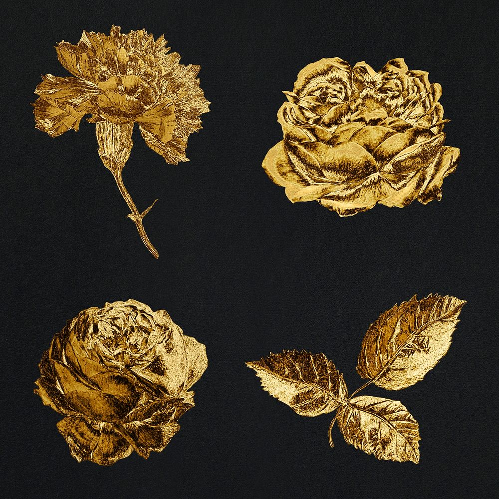 Blooming gold carnation and rose flowers collection design resource