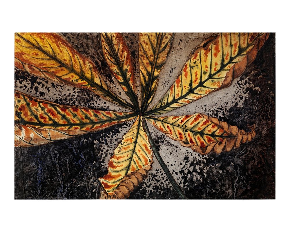 Vintage Chestnut leaf illustration wall art print and poster. Original by Julie de Graag, digitally enhanced by rawpixel.