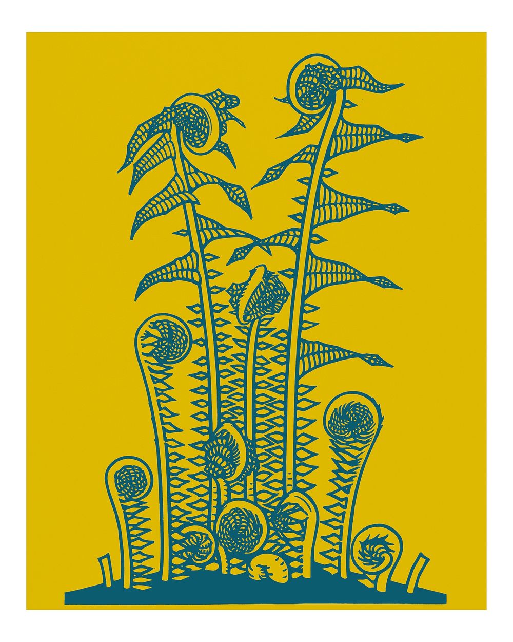 Vintage ferns illustration wall art print and poster design.