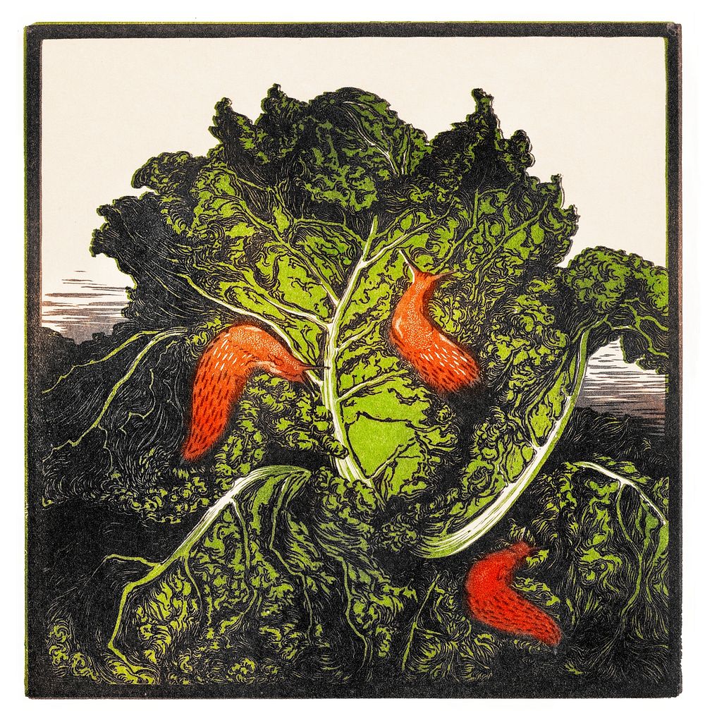 Three slugs on a cabbage by JJulie de Graag (1877-1924). Original from The Rijksmuseum. Digitally enhanced by rawpixel.