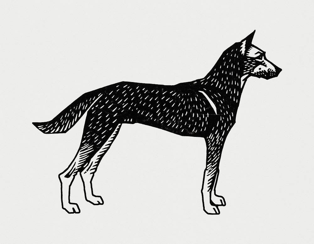 Vintage Illustration of Dog.
