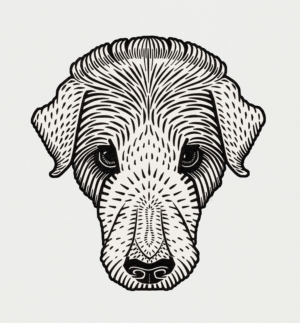Vintage Illustration of Dog's head.