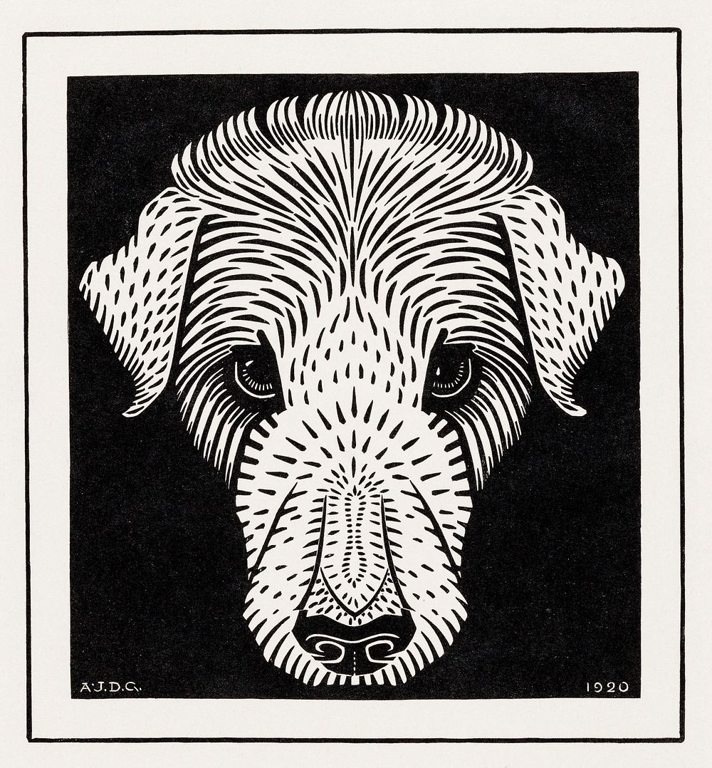 Dog's head (1920) by Julie de Graag (1877-1924). Original from The Rijksmuseum. Digitally enhanced by rawpixel.