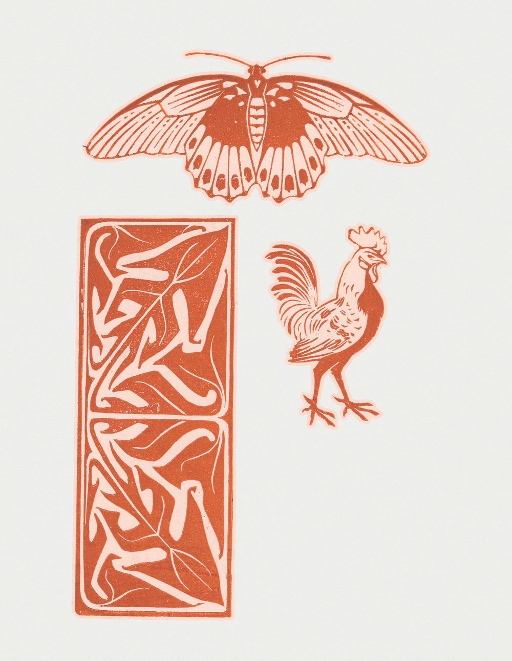 Vintage Illustration of Butterfly, rooster and leaf ornament.