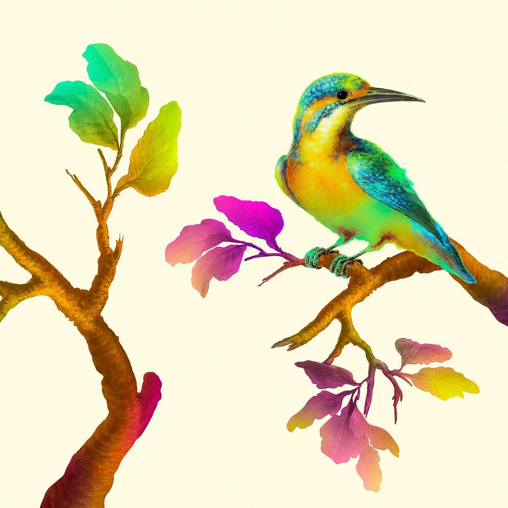Common Kingfisher illustration mockup