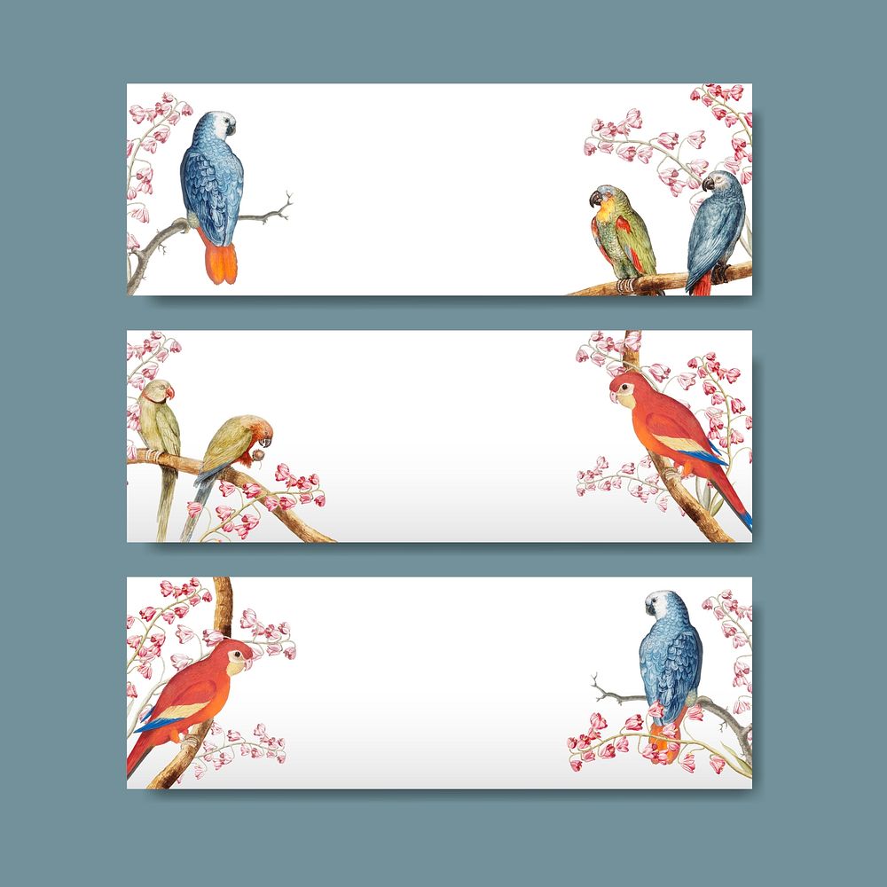 Vintage parrots and nature concept title label vector