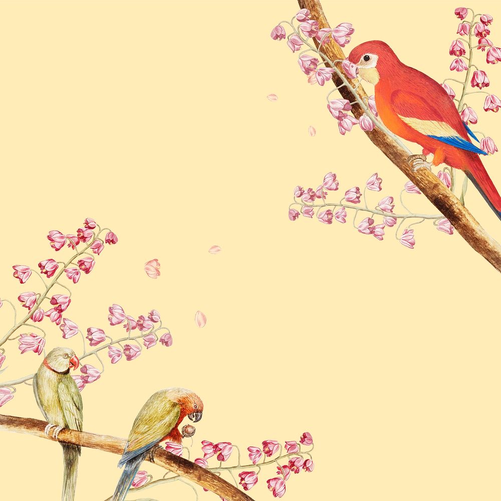 Vintage parrots and nature concept border illustration