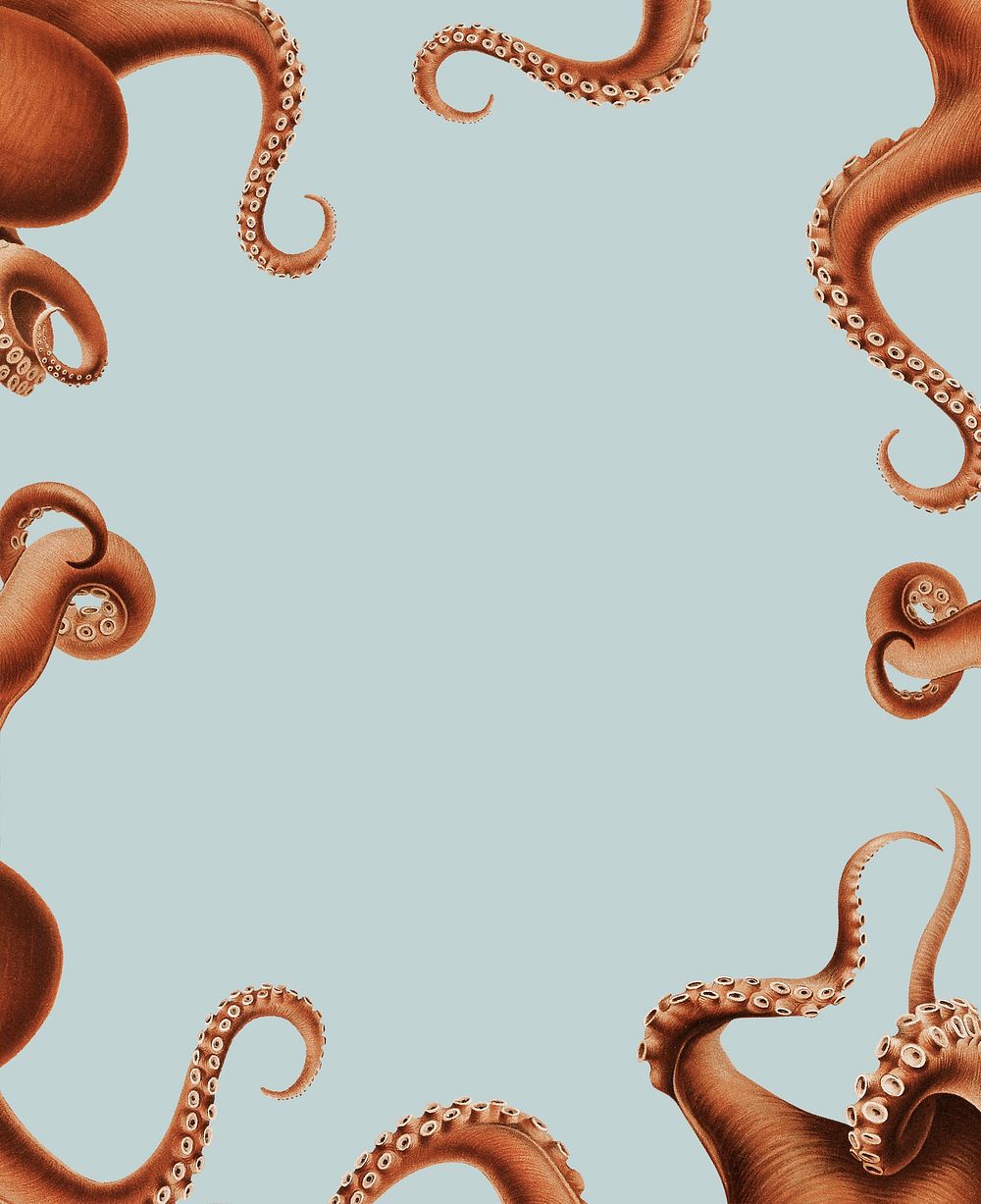 Octopus tentacles frame design with a copy space