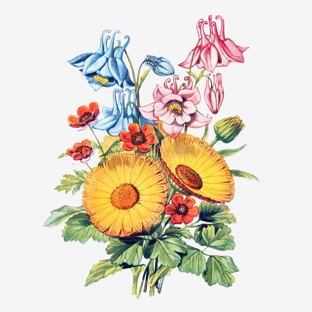 Vintage summer flowers bouquet vector
