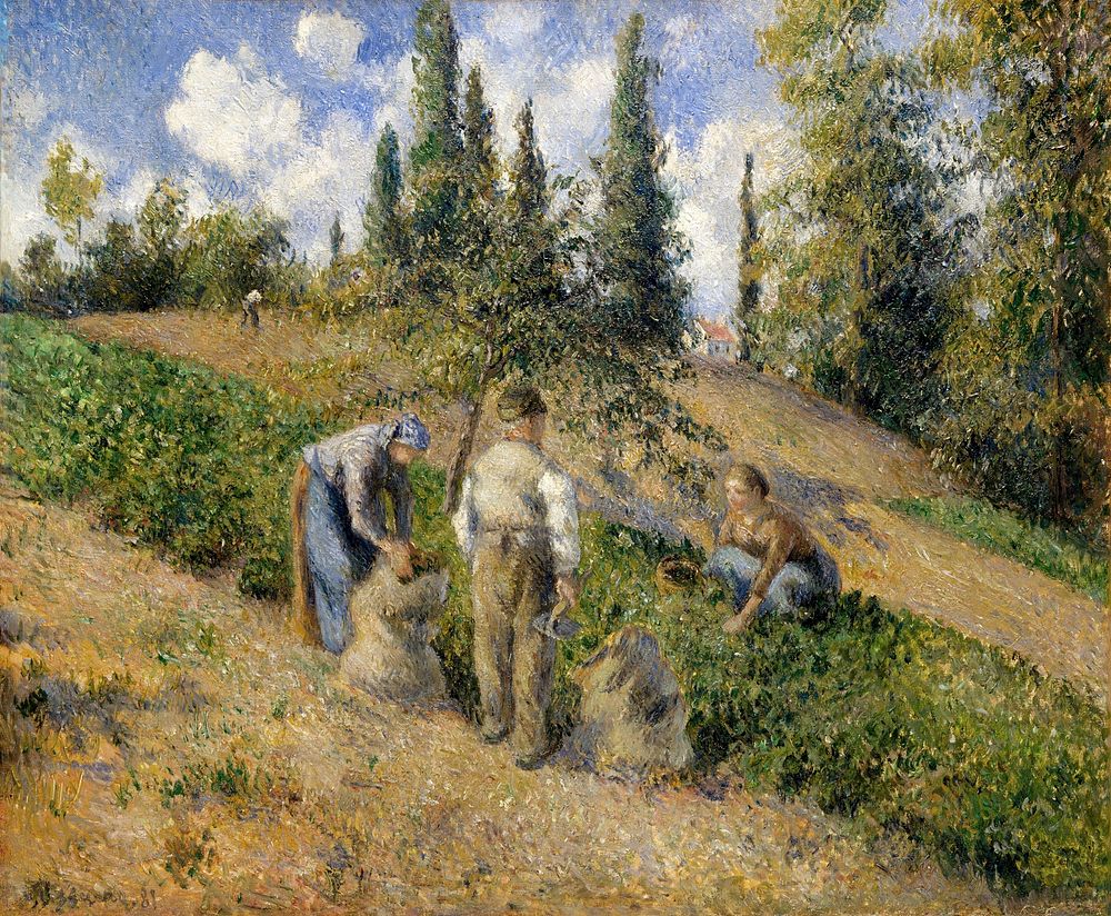 The Harvest, Pontoise (1881) by Camille Pissarro. Original from The MET museum. Digitally enhanced by rawpixel.