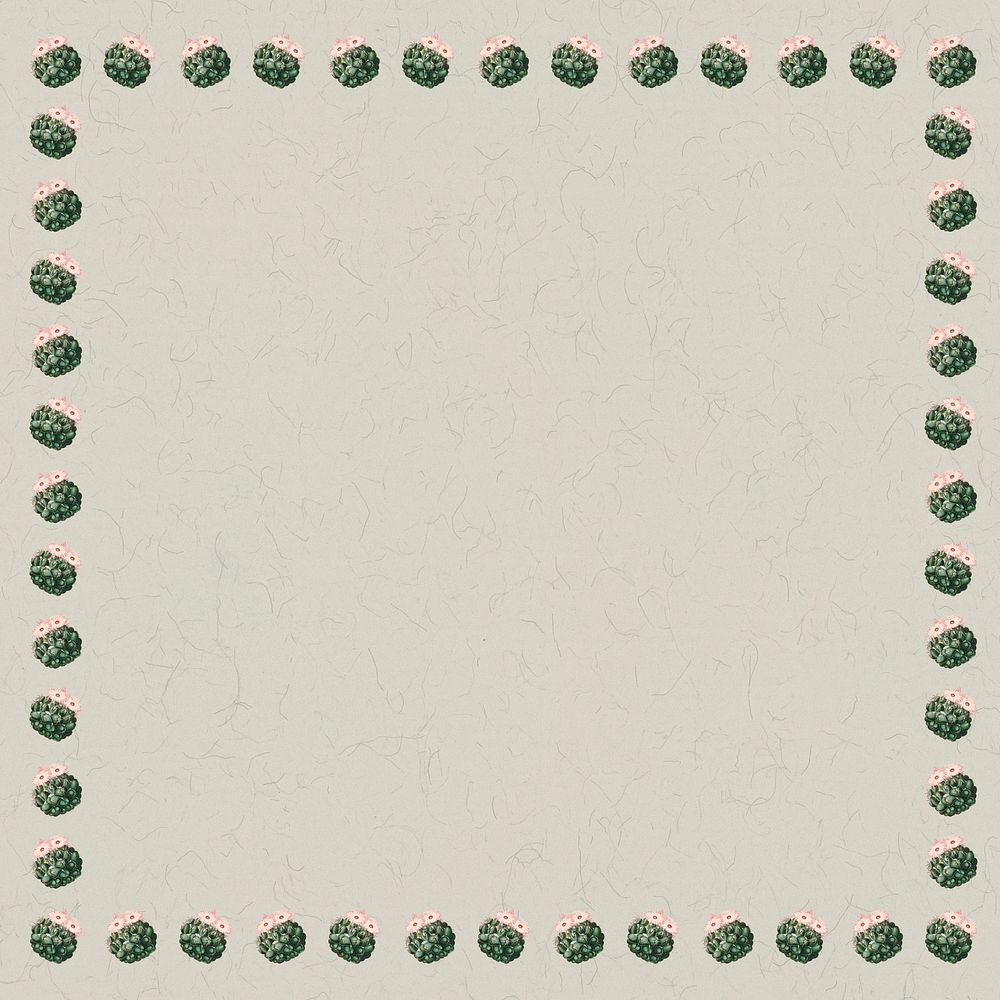 Vintage green cactus with flower border frame on texture paper design element