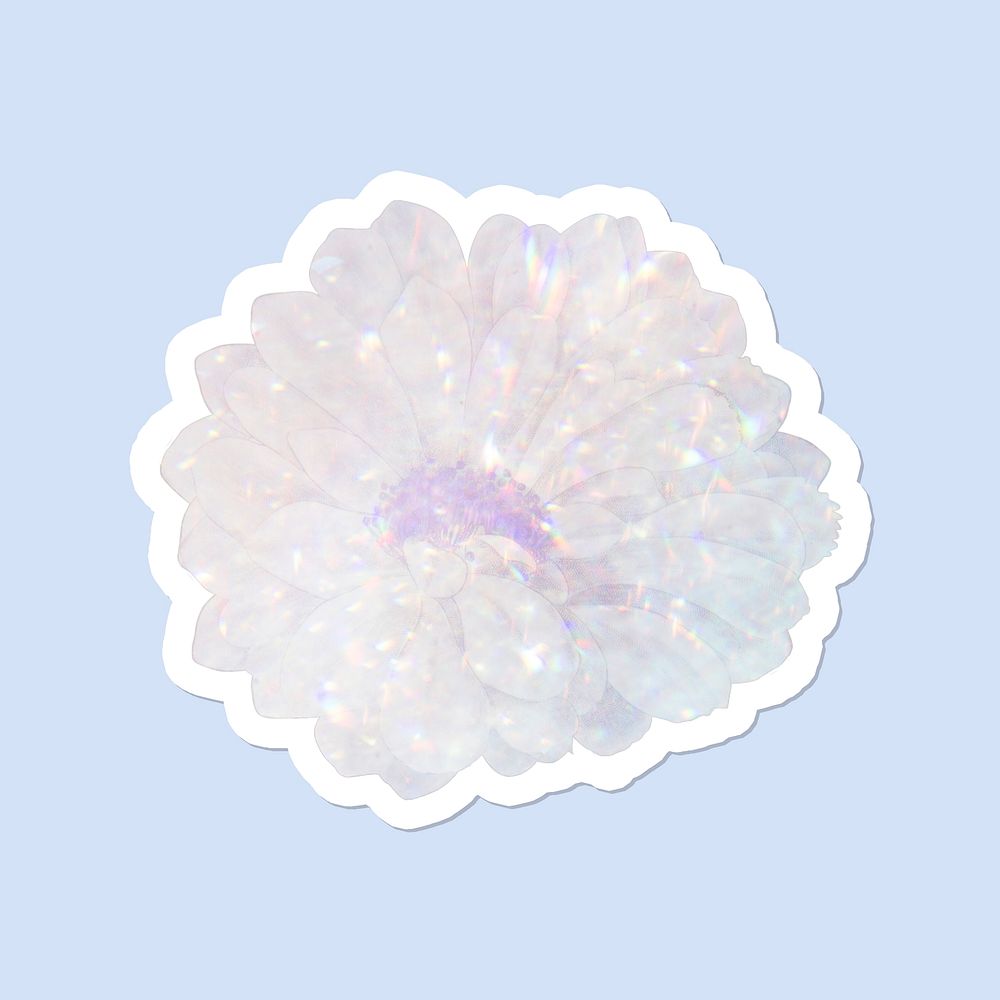 Holographic black chin cactus flower sticker with white border