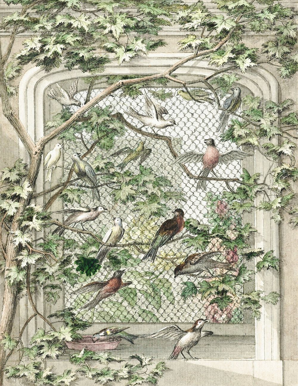 Aviary with fourteen birds (ca. 1720&ndash;1792) painting in high resolution by Aert Schouman. Original from The…