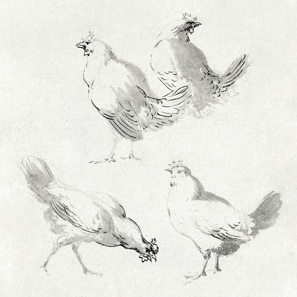 Four chickens (ca. 1720–1792) drawing in high resolution by Aert Schouman. Original from The Rijksmuseum. Digitally enhanced…