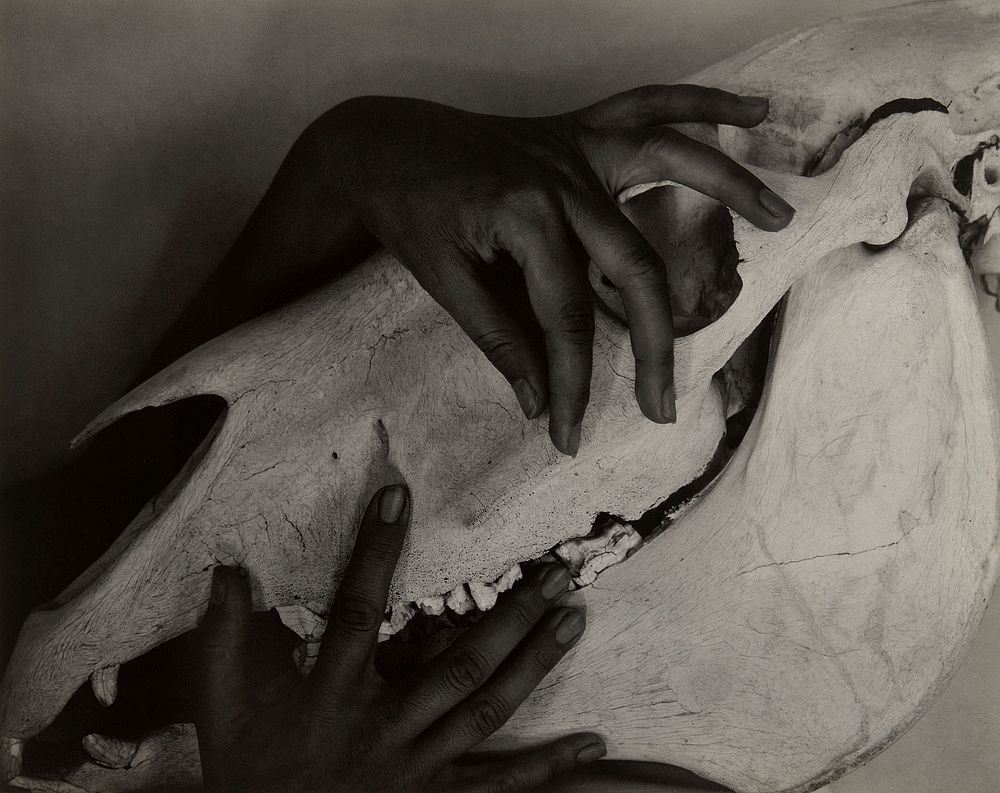 Georgia O&rsquo;Keeffe &ndash; Hands and Horse Skull (1931) by Alfred Stieglitz. Original from The Art Institute of Chicago.…