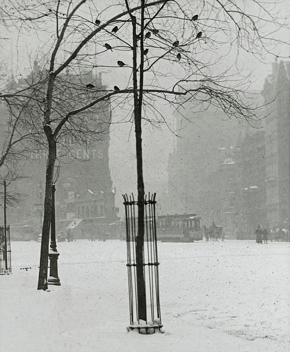 Tree in Snow, New York City (1900&ndash;1902) by Alfred Stieglitz. Original from The Art Institute of Chicago. Digitally…