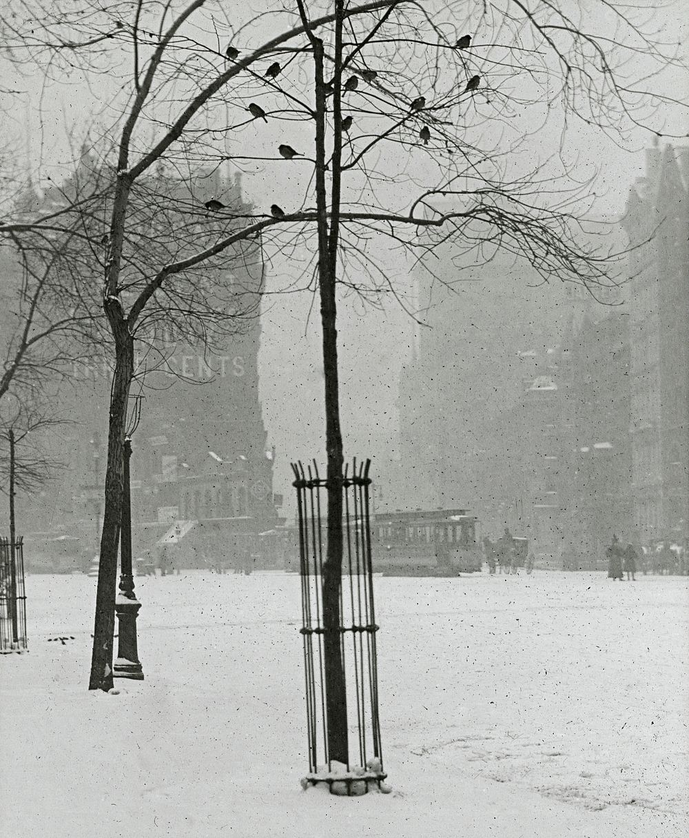 Tree in Snow, New York City (1900–1902) by Alfred Stieglitz. Original from The Art Institute of Chicago. Digitally enhanced…