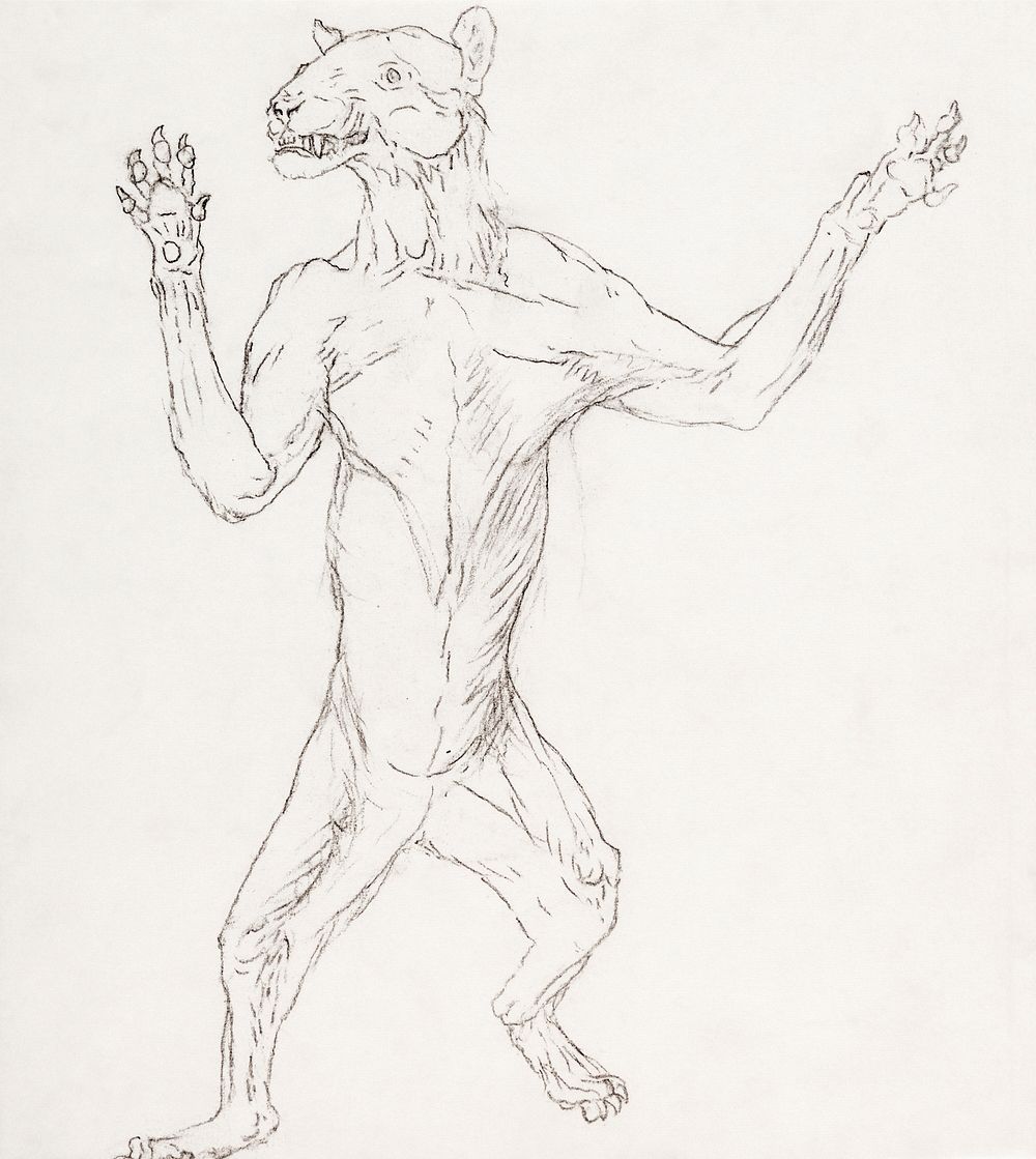 Tiger Body, Standing in Human Posture (1795–1806) drawing in high resolution by George Stubbs. Original from The Yale…