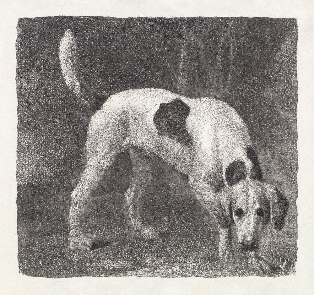 Dog: A Foxhound on the Scent (1788) print in high resolution by George Stubbs. Original from The Yale University Art…