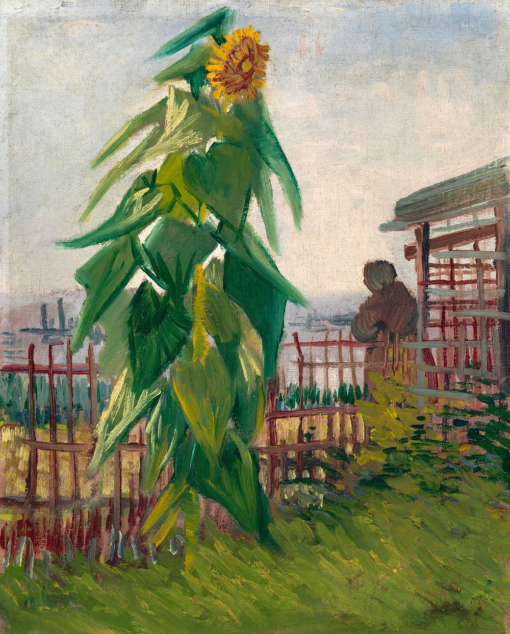 Vincent van Gogh's Allotment with Sunflower (1887) famous painting. Original from Wikimedia Commons. Digitally enhanced by…