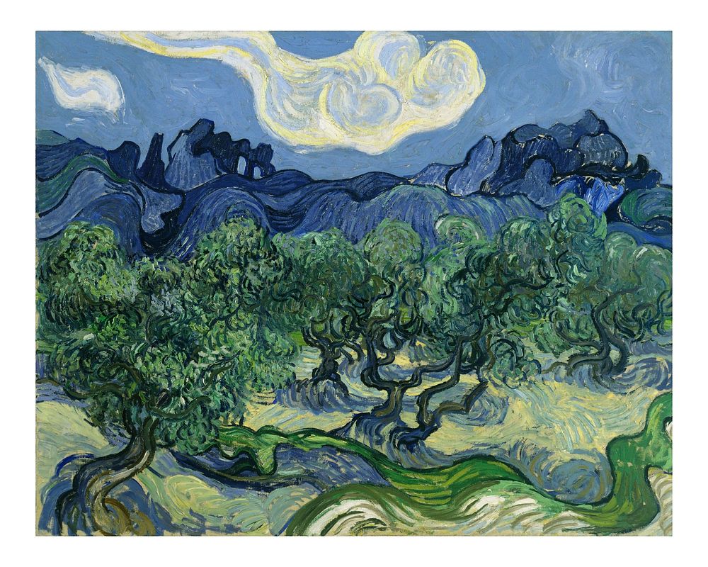 Van Gogh wall art, famous painting Olive Trees with the Alpilles in the Background landscape wall decor.