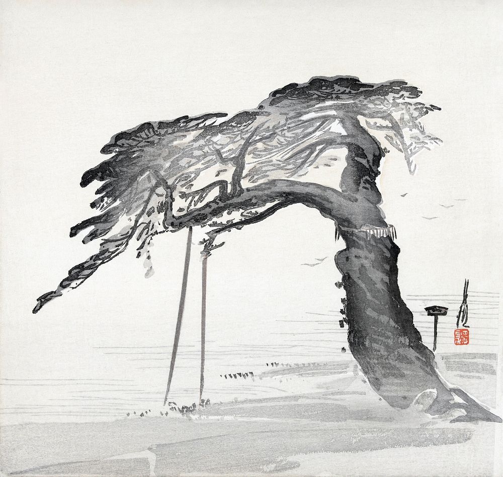 Old Pine Tree (1900–1910) print in high resolution by Ogata Gekko.