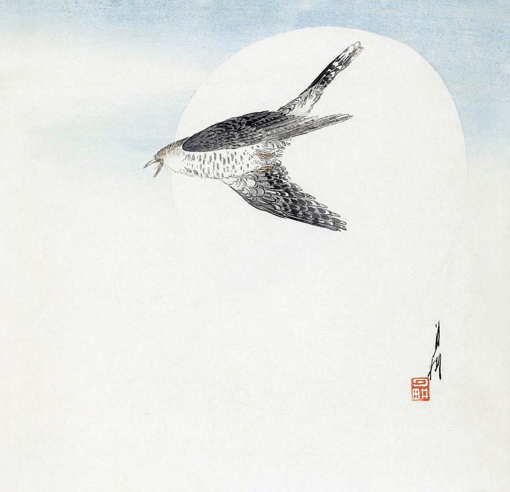 Cuckoo Flying at Full Moon (1900&ndash;1910) print in high resolution by Ogata Gekko.