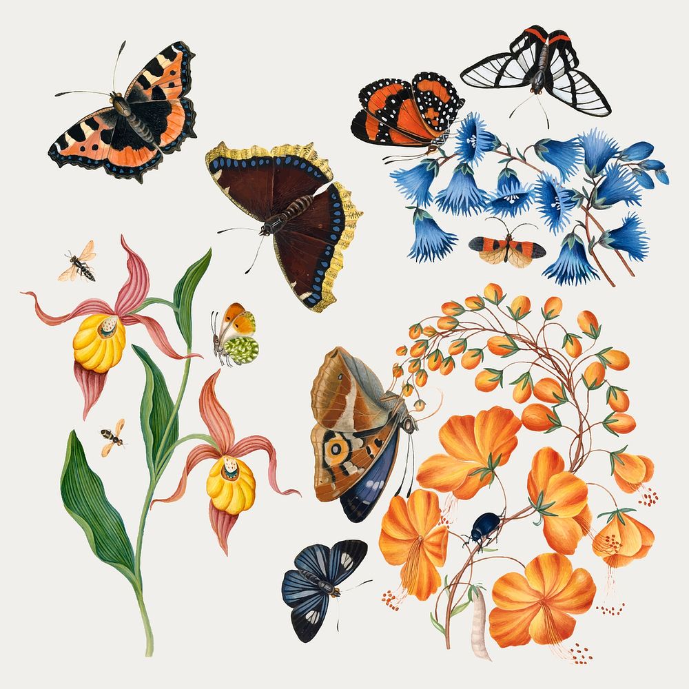 Vintage birds, butterflies, botanical sticker vector set, remixed from artworks by James Bolton