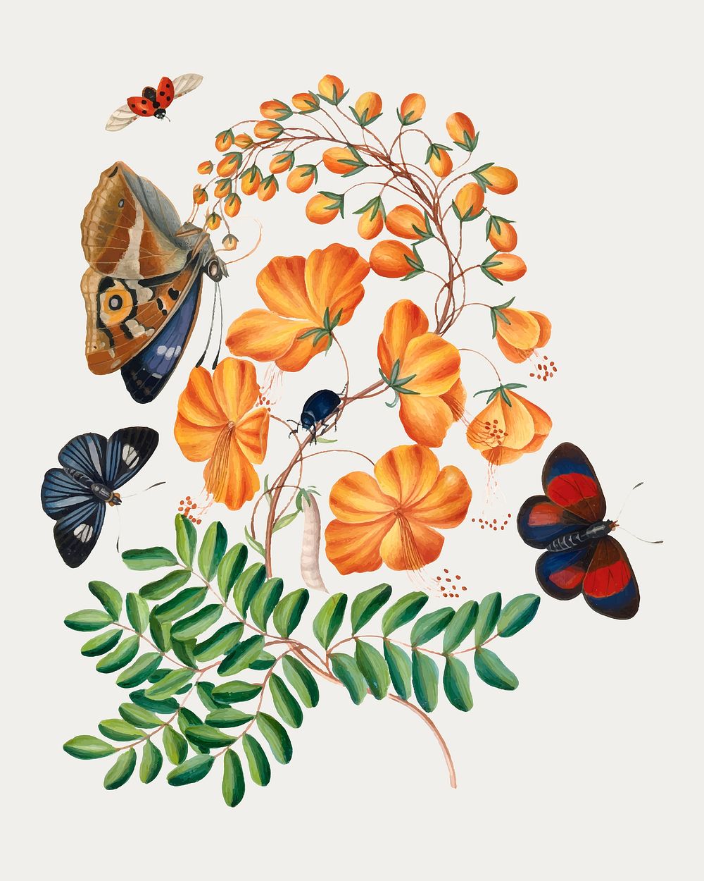 Botanical flower, butterfly sticker vector, remixed from artworks by James Bolton