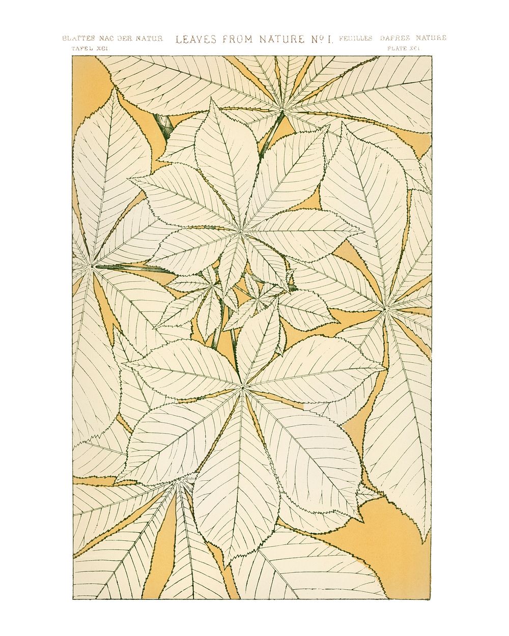 Vintage flower pattern wall art print and poster.