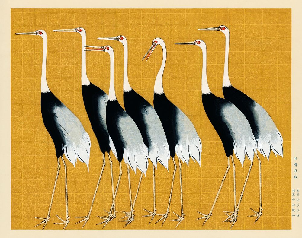 A traditional portrait of a flock of beautiful Japanese red crown crane by Ogata Korin (1658-1716). Digitally enhanced from…