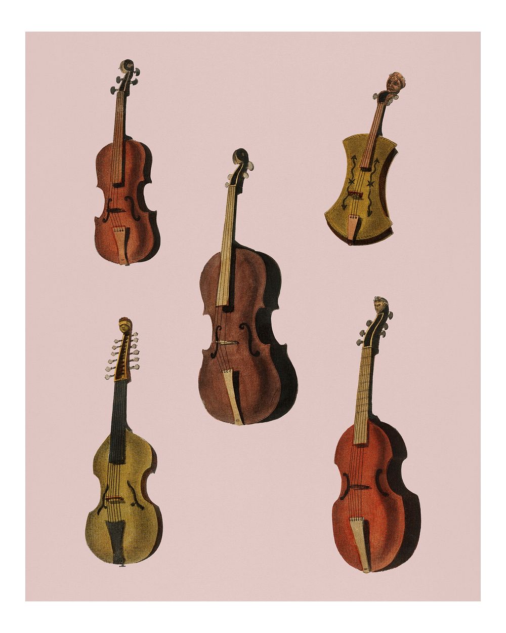 Antique violin, viola, cello illustrations  wall art print and poster.