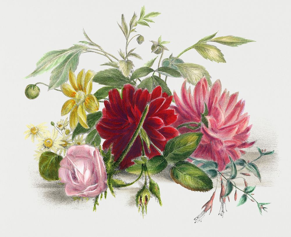 Vintage Illustration of Colorful still life of flowers.