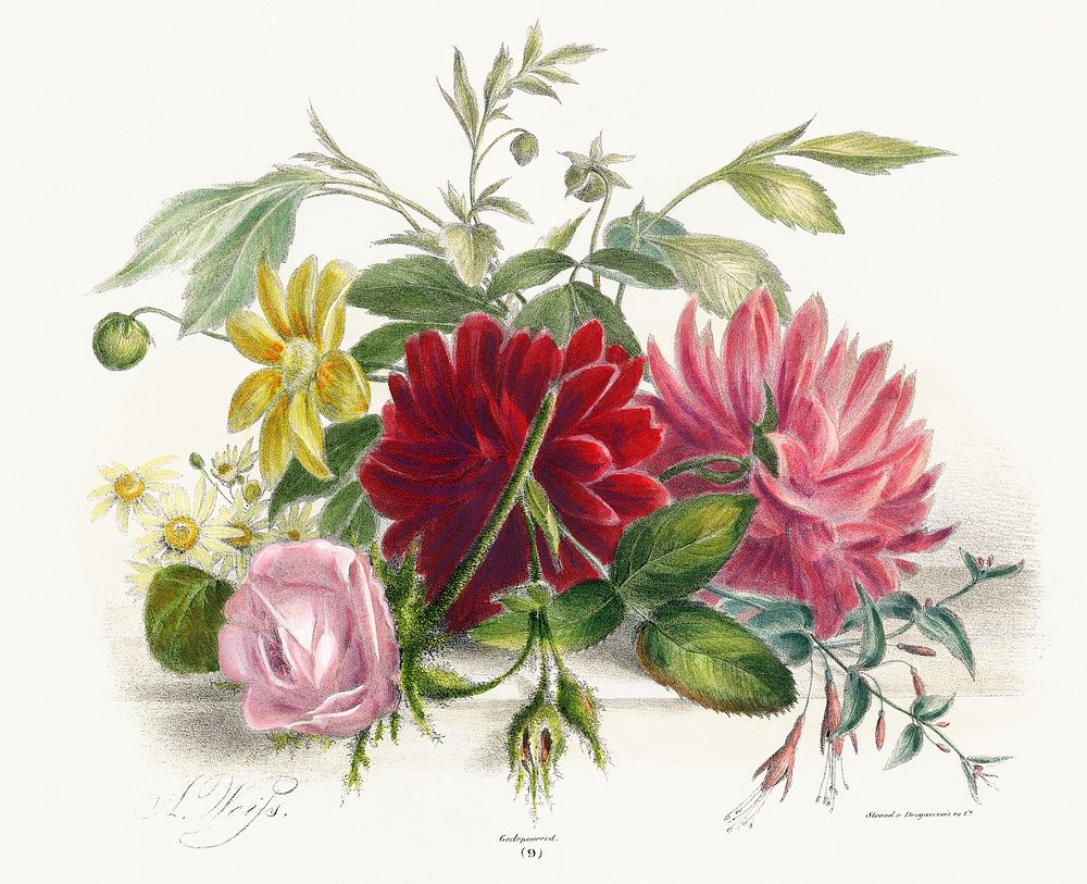 Colorful still life of flowers (1850), an arrangement of beautiful flowers. Digitally enhanced from our own original plate. 